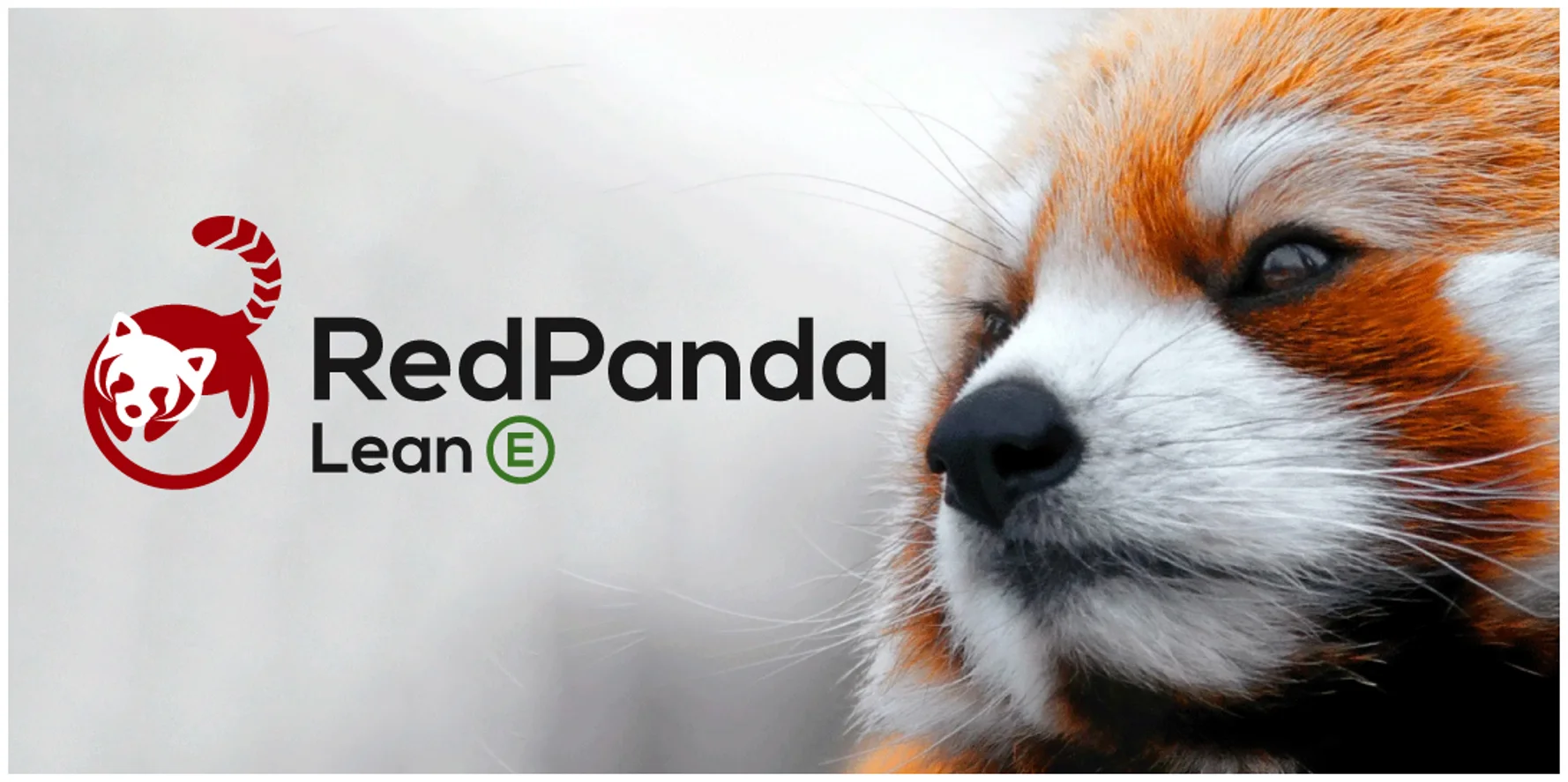 Inicio fondo panda rple (1)